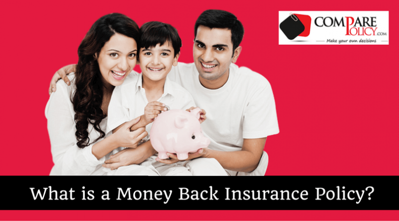 What is a Money Back Insurance Policy?