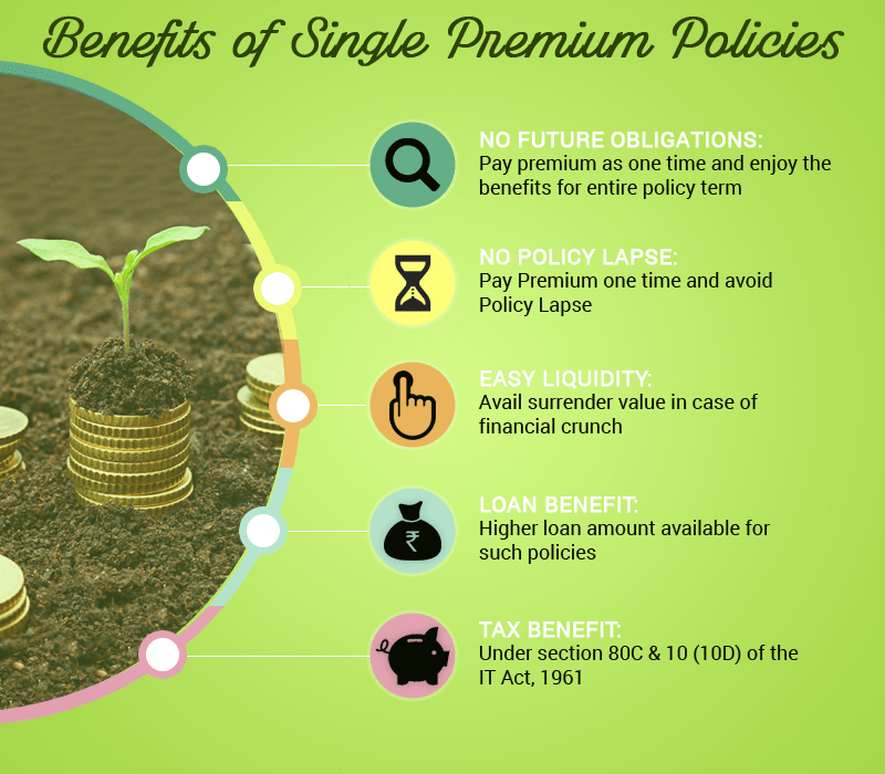 single premium policy