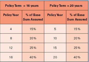 DHFL Pramerica Smart Money Back Survival Benefit